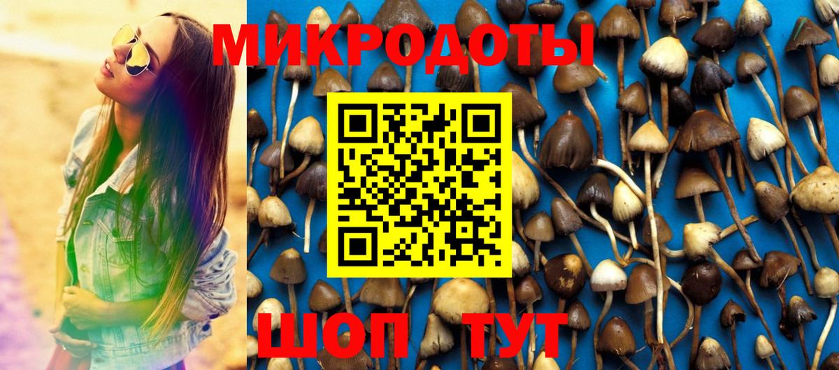 Псилоцибиновые грибы GOLDEN TEACHER Усолье-Сибирское