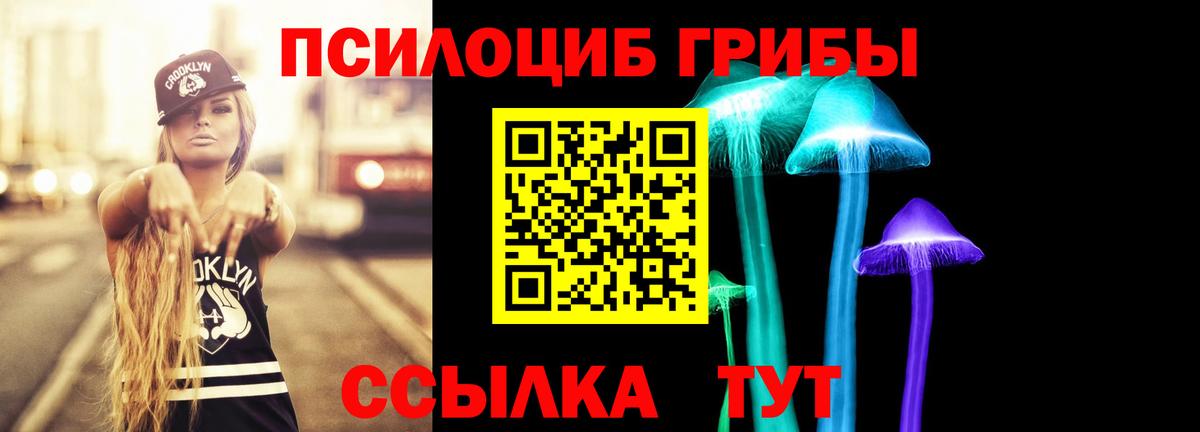 Усолье-Сибирское  Псилоцибиновые грибы GOLDEN TEACHER  Вход с VPN 